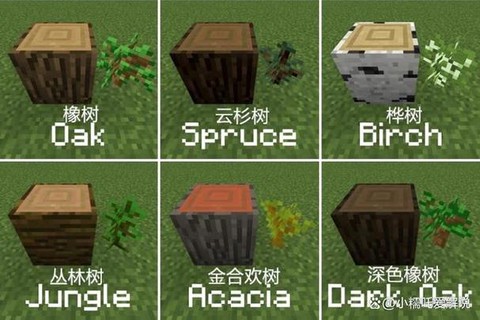 我的世界共鸣树怎么种[图2]