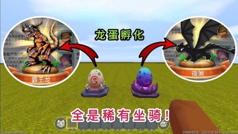迷你世界的龙蛋怎么孵[图2]