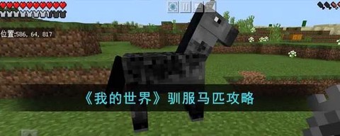 我的世界马怎么驯服手机版