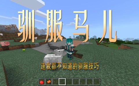 我的世界马怎么驯服手机版[图2]